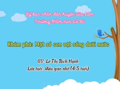 Lĩnh vực phát triển nhận thức